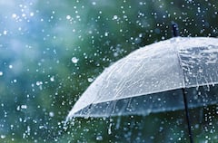 Rain Update: मुंबई-पुण्यात आज मुसळधार पाऊस; 'या' 7 जिल्ह्यांना ऑरेंज अलर्ट, पाहा तुमच्या विभागातील पावसाची स्थिती