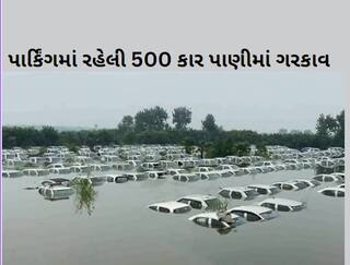 Viral Video: હિંડોન નદીના પાણીનો પ્રકોપ, નોઈડામાં પાર્કિંગમાં રહેલી 500 કાર પાણીમાં ગરકાવ