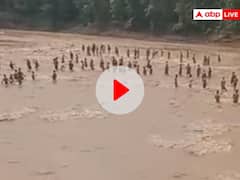 लापरवाही पड़ सकती थी भारी! उफनती नदी में मछली पकड़ने पहुंचे सैकड़ों लोग, वीडियो वायरल