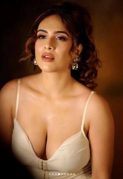 ਨੇਹਾ ਮਲਿਕ ਨੇ ਰਿਵੀਲਿੰਗ ਆਊਟਫਿਟ ਵਿੱਚ ਮਚਾਈ ਤਬਾਹੀ