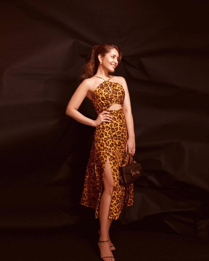 The outfit had a halter neck with a cut out in the middle and a slit on one side. (Image Source: Instagram/Raashi Khanna)