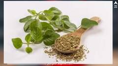 ਜਾਣੋ ਪੀਜ਼ਾ ਅਤੇ ਪਾਸਤਾ 'ਚ ਪਾਏ ਜਾਣ ਵਾਲੇ Oregano ਦੇ ਸਿਹਤ ਨੂੰ ਮਿਲਣ ਵਾਲੇ 6 ਫਾਇਦੇ