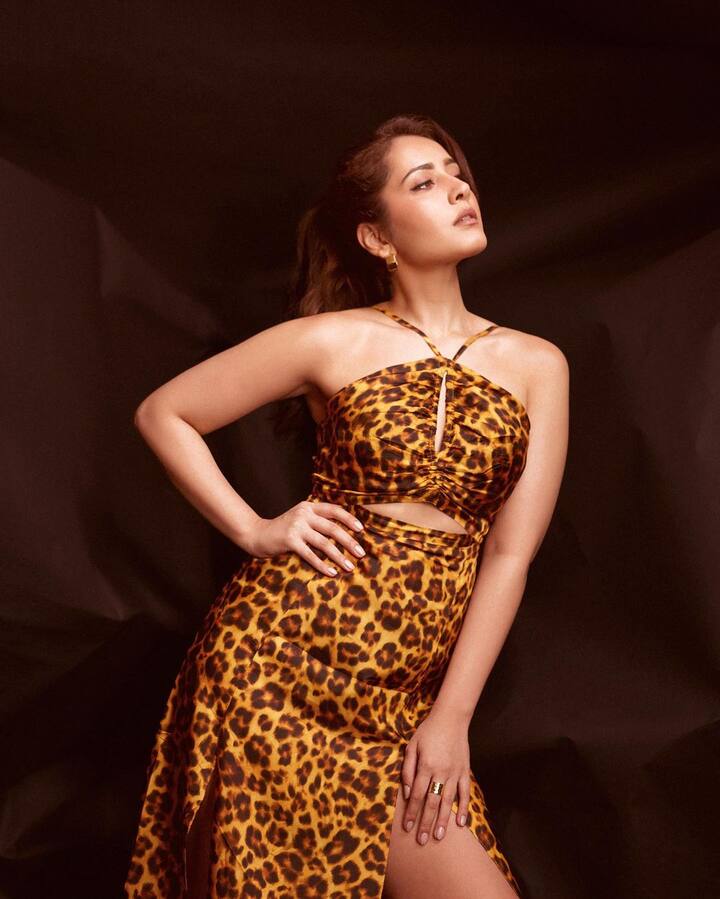 She also had a small brown purse in her carrying. (Image Source: Instagram/Raashi Khanna)