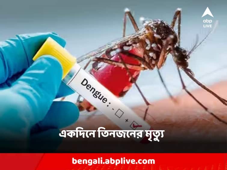 Dengue: বাড়ছে উদ্বেগ, আতঙ্ক! ডেঙ্গি আক্রান্ত হয়ে একইদিনে তিনজন মৃত্যু
