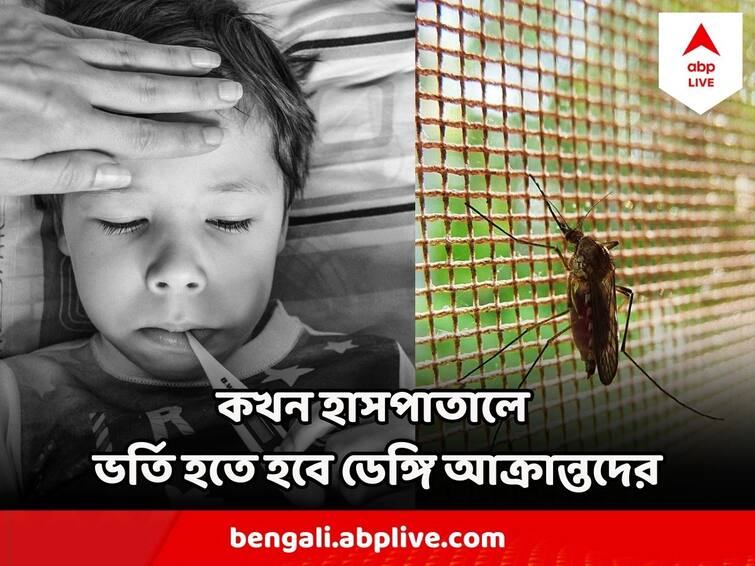 Dengue Spreads Rapidly In West Bengal, When Hospital Admission is required Dengue : বাড়ছে আতঙ্ক, কোন কোন লক্ষণ দেখলে, ডেঙ্গি রোগীকে হাসপাতালে ভর্তি করাতেই হবে?