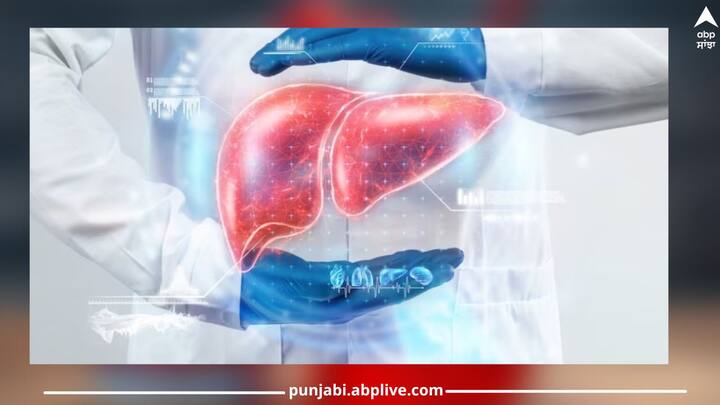 Fatty Liver: ਸ਼ੂਗਰ, ਦਿਲ ਦੇ ਰੋਗ ਤੇ ਕੈਂਸਰ ਦੀ ਤਰ੍ਹਾਂ ਹੁਣ ਫੈਟੀ ਲੀਵਰ ਦੀ ਬੀਮਾਰੀ ਵੀ ਵਧ ਰਹੀ ਹੈ। ਇਹ ਬਿਮਾਰੀ ਲੀਵਰ 'ਤੇ ਜ਼ਿਆਦਾ ਚਰਬੀ ਜਮ੍ਹਾ ਹੋਣ ਕਾਰਨ ਹੁੰਦੀ ਹੈ।