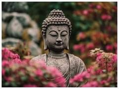 बुद्ध के सिर पर ये घुंघराले बाल नहीं है... बल्कि ये जानवर हैं! जानिए क्या है इन 108 जानवरों की कहानी