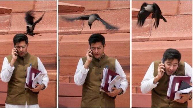  Crow Attack on Raghav Chadha Photos AAP ਦੇ ਸਾਂਸਦ ਮੈਂਬਰ ਰਾਘਵ ਚੱਢਾ 'ਤੇ ਕਾਂ ਨੇ ਕੀਤਾ ਹਮਲਾ, ਸਿਰ 'ਤੇ ਮਾਰੀ ਚੁੰਝ, ਤਸਵੀਰਾਂ ਹੋਈਆਂ ਵਾਇਰਲ 