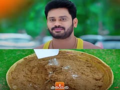 ‘త్రినయని’ సీరియల్: ఆవు పేడలో ఎలర్జీ మందు కలిపిన వల్లభ, తిలోత్తమా ప్లాన్ బోల్తా కొట్టించిన గాయత్రి పాప?