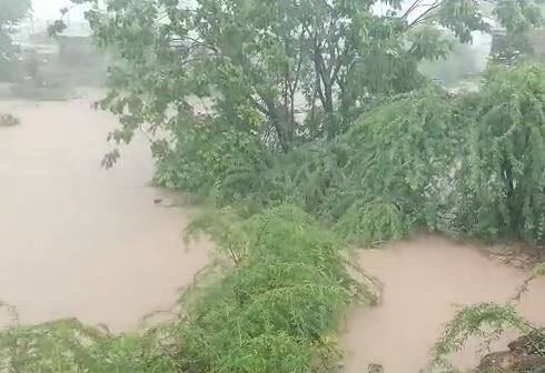 मुंबई उपनगरासह ठाणे, पालघर या भागात जोरदार पाऊस कोसळत आहे. तसेच कोकण विभाग, मध्य महाराष्ट्रासह विदर्भात पावसाचा जोर वाढला आहे.