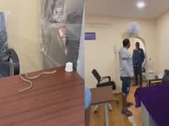 పాములు వస్తున్నాయంటే పట్టించుకోరా? ఇప్పుడు మీ ఆఫీస్‌లో ఉంది ఏం చేస్తారు? అధికారులను పరుగులు పెట్టించిన వ్యక్తి