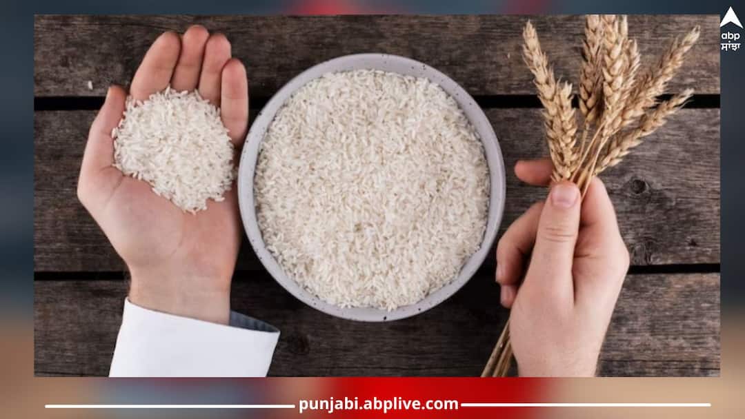 Inflation in India : ਹੋ ਜਾਓ ਤਿਆਰ! ਮਹਿੰਗਾਈ ਢਾਹੇਗੀ ਕਹਿਰ, ਟਮਾਟਰ ਕੋਈ ਵੱਡੀ ਸਮੱਸਿਆ ਨਹੀਂ, ਕਣਕ ਤੇ ਚੌਲਾਂ ਦਾ ਅਸਲ ਸੰਕਟ Get ready! Inflation will wreak havoc, tomato is not a big problem, real crisis of wheat and rice Inflation in India : ਹੋ ਜਾਓ ਤਿਆਰ! ਮਹਿੰਗਾਈ ਢਾਹੇਗੀ ਕਹਿਰ, ਟਮਾਟਰ ਕੋਈ ਵੱਡੀ ਸਮੱਸਿਆ ਨਹੀਂ, ਕਣਕ ਤੇ ਚੌਲਾਂ ਦਾ ਅਸਲ ਸੰਕਟ