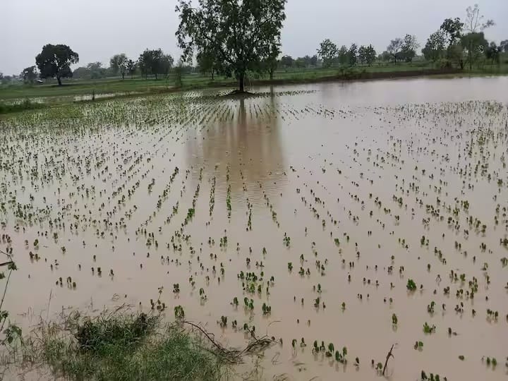 Nanded Rain News Heavy rains in 69 out of 89 mandals in Nanded district Heavy rains in July Nanded News : नांदेड जिल्ह्यातील 89 मंडळापैकी 69 मंडळांत अतिवृष्टी; जुलैमध्ये पावसाचा कहर