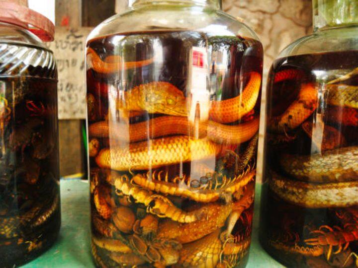 snake wine is made from poisonous snakes after drinking it affects the body like this जहरीले सांप से बनती है ये शराब, पीने के बाद शरीर पर ऐसा होता है असर