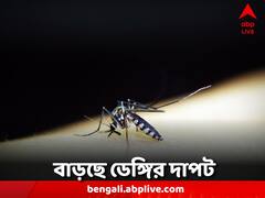 ডেঙ্গি মোকাবিলায় পদক্ষেপ, সব সরকারি হাসপাতালে ফিভার ক্লিনিক চালুর নির্দেশ