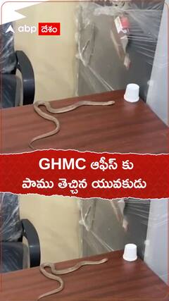 జీహెచ్ఎంసీ ఆఫీస్ కు పాము పట్టుకొచ్చాడు.. ఎందుకు..?