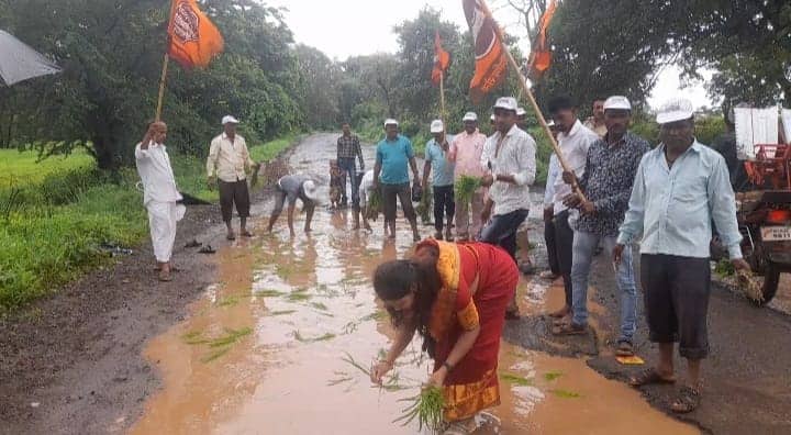 Nashik MNS Protest Prohibition by planting paddy rice in the potholes of the road Nashik : नाशिकमध्ये मनसेचे हटके आंदोलन, रस्त्याच्या खड्ड्यात भाताची रोपे लावून निषेध