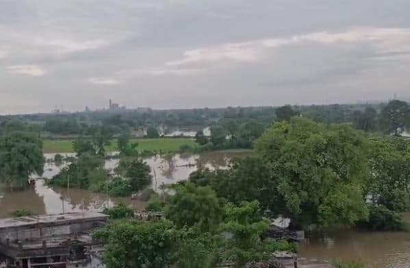 पावसामुळं नदी नाले दुथडी भरुन वाहत आहेत. अनेक ठिकाणी पुरामुळं जनजीवन विस्कळीत झालं आहे, तर कुठं वाहतुकीवर परिणाम झाल्याचे चित्र दिसत आहे.