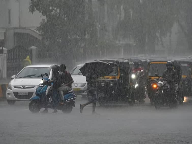 Due to heavy rains in Chhota Udepur many areas were waterlogged Rain Update: મધ્ય ગુજરાતમાં પણ મેઘતાંડવ, ભારે વરસાદના કારણે શાળામાં રજા જાહેર