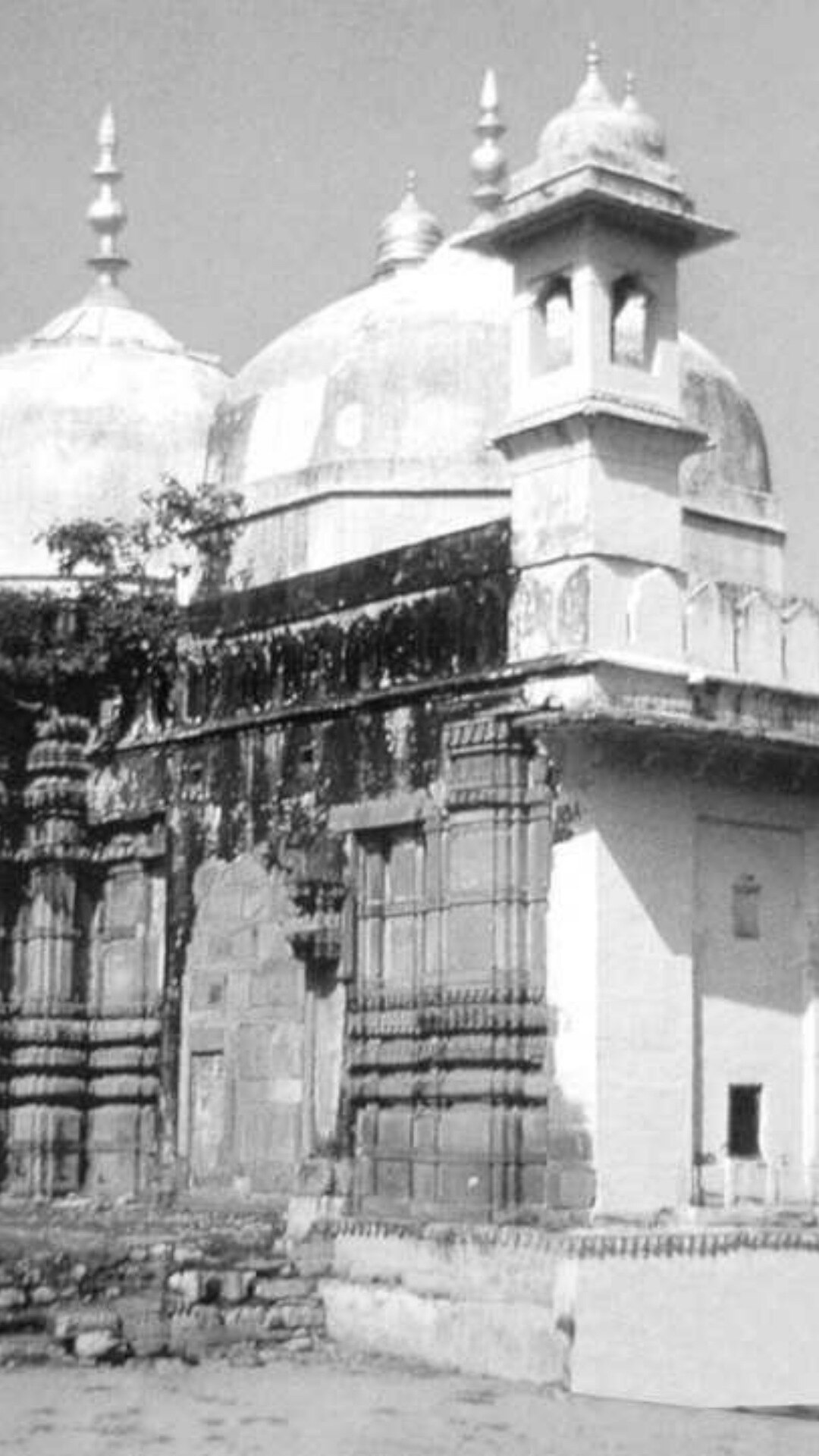 वापी का मतलब बावली, तालाब, चौड़ा और