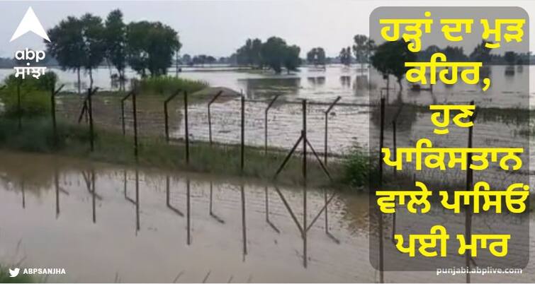 The fury of floods again, now from the Pakistan side, the water level started to rise Flood in Punjab: ਹੜ੍ਹਾਂ ਦਾ ਮੁੜ ਕਹਿਰ, ਹੁਣ ਪਾਕਿਸਤਾਨ ਵਾਲੇ ਪਾਸਿਓਂ ਪਈ ਮਾਰ, ਪਾਣੀ ਦਾ ਪੱਧਰ ਵਧਣਾ ਸ਼ੁਰੂ