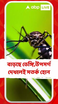 বাড়ছে ডেঙ্গি সতর্ক প্রশাসন, উপসর্গ দেখলেই সতর্ক হোন