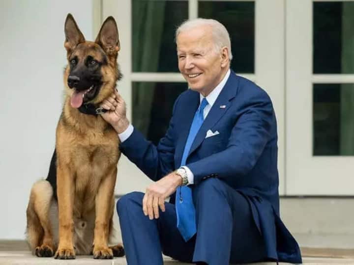 अमेरिकी राष्ट्रपति बाइडेन का खूंखार कुत्ता सीक्रेट सर्विस के अधिकारियों के लिए बना खतरा