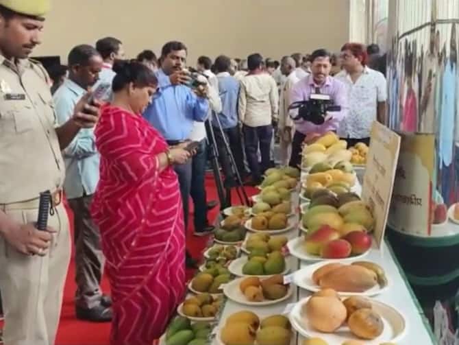 Basti News: उद्यान विभाग के फर्जी आम किसान, देखकर सरकार भी हुई हैरान, CM योगी के हाथों झटक लिया सम्मान Basti News: उद्यान विभाग के फर्जी आम किसान, देखकर सरकार भी हुई हैरान, CM योगी के हाथों झटक लिया सम्मान