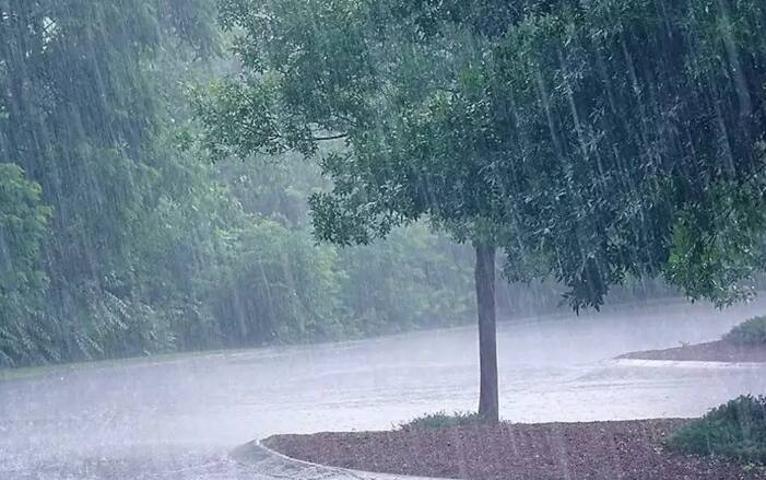 रेड अलर्ट आणि ऑरेंज अलर्ट असलेल्या जिल्ह्यांत मुसळधार ते अति मुसळधार पाऊस पडणार असल्याचा अंदाज आहे. त्यामुळे नागरिकांनी योग्य ती खबरदारी घ्यावी, असं आवाहन प्रशासनाच्या वतीने करण्यात आलं आहे.