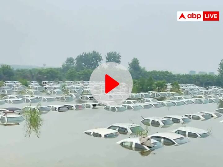 Greater Noida Viral Video on Social Media Ola Car drowned in Hindon river Flood Watch Video Watch: हिंडन नदी की बाढ़ से नोएडा में डूबी ओला कंपनी की 350 गाड़ियां, वीडियो वायरल