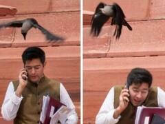 'झूठ बोले कौआ काटे', बीजेपी के इस तंज पर राघव चड्ढा बोले, '...और कौवा मोती खाएगा'