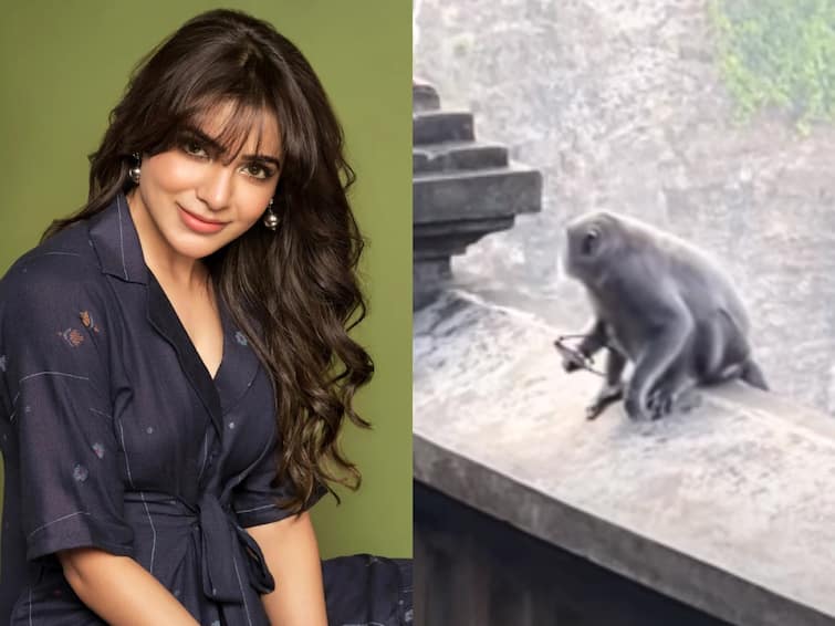 Actress Samantha loses her sunglasses to Bali monkey, Deets inside Samantha: సమంత కళ్లజోడు ఎత్తుకెళ్లిన కోతి - తర్వాత ఏం జరిగిందంటే?