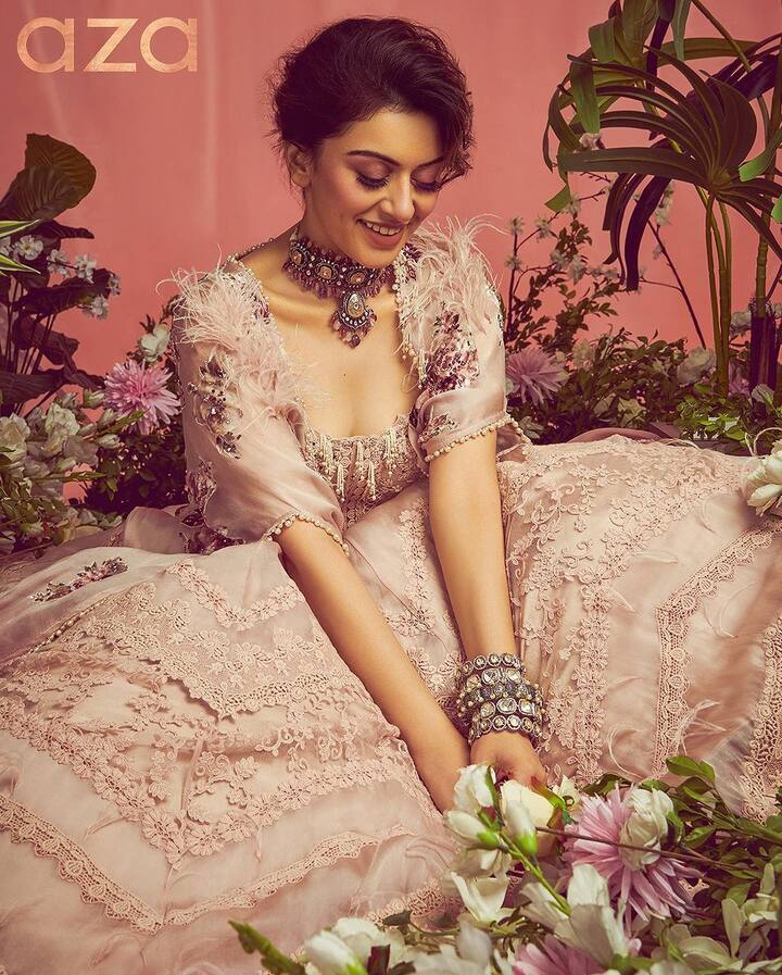 హన్సిక (Image Credit:Hansika Motwani/Instagram)