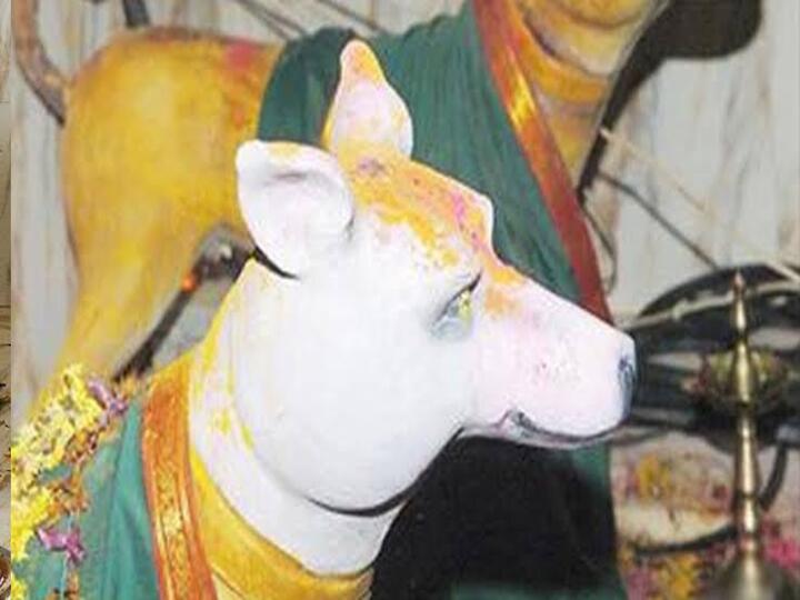 Dog Temple: கர்நாடகாவின் 'நாய்' கோயில்… நாய்களை போற்றி வணங்கும் கிராமம்.. பின்கதை என்ன?