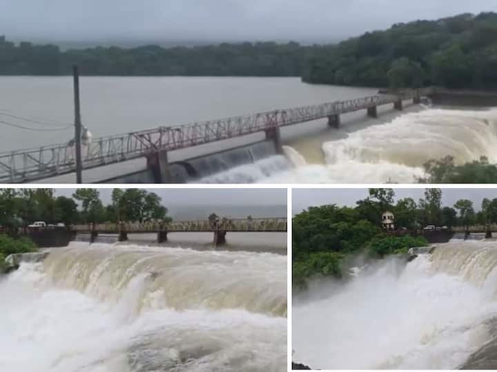 Radhanagari Dam : धरणातून मोठा विसर्ग होत असल्याने नदीकाठच्या गावांना सावधानतेचा इशारा देण्यात आला आहे. गेल्यावर्षी ऑगस्ट महिन्यात धरणाचे दरवाजे उघडले होते. यावर्षी जुलै अखेरलाच उघडले आहेत.