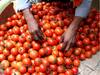 Tomato on Paytm : ਹੁਣ Paytm 'ਤੇ ਸਸਤੇ 'ਚ ਖਰੀਦੋ ਟਮਾਟਰ, ਇਨ੍ਹਾਂ ਸ਼ਹਿਰਾਂ ਦੇ ਲੋਕਾਂ ਨੂੰ ਮਿਲੇਗਾ ਫਾਇਦਾ, ਜਾਣੋ ਤਾਜ਼ਾ ਕੀਮਤਾਂ