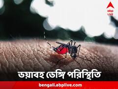 মৃতের সংখ্যা দুশো পার, হাসপাতালে উপচে পড়া ভিড়, ডেঙ্গি নিয়ে বাড়ছে উদ্বেগ