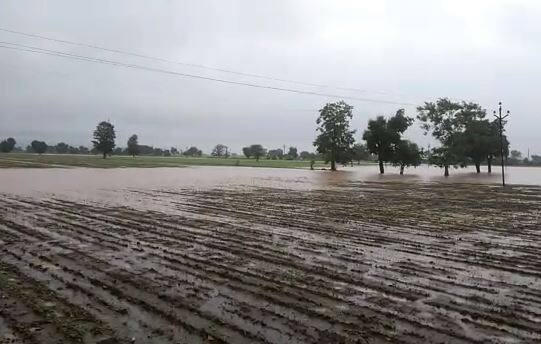 हवामान विभागानं दिलेल्या माहितीनुसार आजही राज्यात जोरदार पावसाची शक्यता आहे. यामध्ये कोकणासह मध्य महाराष्ट्र, विदर्भात पावसाचा अंदाज वर्तवला आहे.