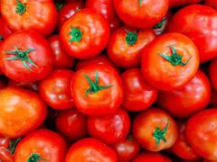 Vegetable Price : அலறவைக்கும் தக்காளியின் விலை.. இப்போ இன்னும் 30 ரூபாய் அதிகம்.. இதோ காய்கறி விலைப்பட்டியல்..