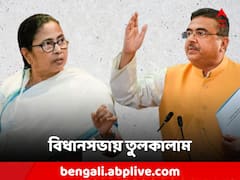 '২ ঘণ্টা লাইট বন্ধ করে জিতে নিয়েছেন', নন্দীগ্রামে হার নিয়ে খোঁচা মমতার