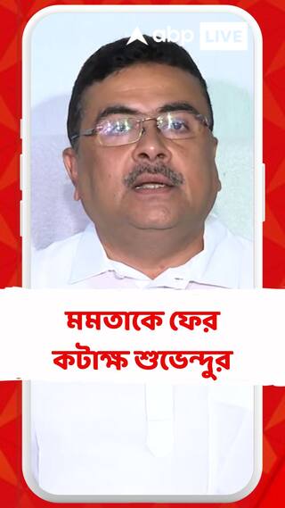 'নন্দীগ্রামে জিততে পারেননি, তাই অব্যক্ত যন্ত্রণা থেকে এসব বলছেন', মমতাকে কটাক্ষ শুভেন্দুর