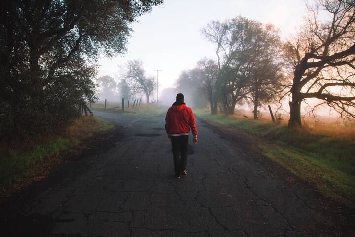 Morning Walk:  मॉर्निंग वॉकला जाण्याचे अनेक फायदे आहेत. वजन कमी करण्यापासून ते रक्तदाब आणि रक्तातील साखरेची पातळी नियंत्रित ठेवण्यापर्यंत, मॉर्निंग वॉकमुळे तुमच्या आरोग्यासाठी अनेक फायदे होऊ शकतात.