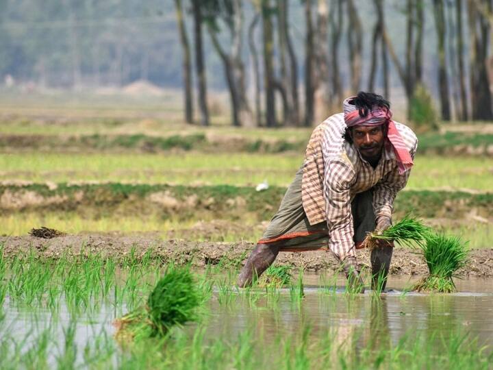 PM Kisan Yojana: कुछ ही घंटे में आ जाएगी 14वीं किस्त की रकम, फटाफट लाभार्थी सूची में चेक करें अपना नाम PM Kisan Yojana 14th Installment will be released in some hours Check Your Name in Beneficiary List PM Kisan Yojana: कुछ ही घंटे में आ जाएगी 14वीं किस्त की रकम, फटाफट लाभार्थी सूची में चेक करें अपना नाम