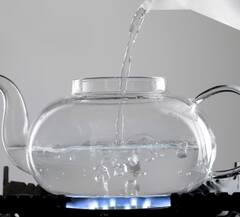 Health News: ਕੀ ਸੱਚਮੁੱਚ ਸਵੇਰੇ ਖਾਲੀ ਪੇਟ ਗਰਮ ਪਾਣੀ ਪੀਣਾ ਜ਼ਰੂਰੀ ਹੈ? ਜਾਣੋ