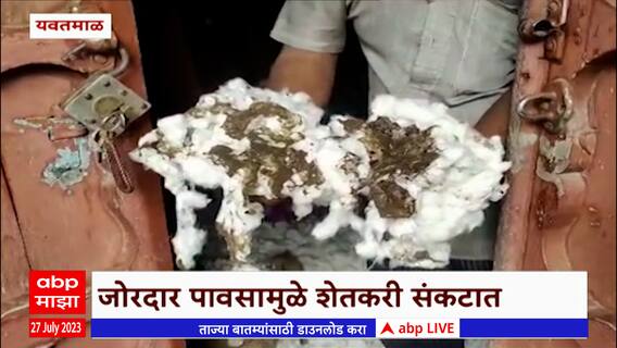 Yavatmal Heavy Rain: कात्री गावात दुर्गा नदीला पूर; जोरदार पावसामुळे शेतकऱ्यांचं मोठं नुकसान