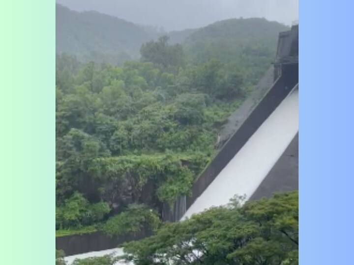 चांदोली धरण पाणलोट क्षेत्रात पावसाचा जोर कायम आहे.