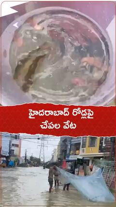 హైదరాబాద్ రోడ్లపై చేపలవేట