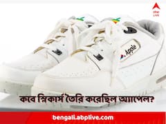 নিলামে উঠল অ্যাপেলের তৈরি 'জুতো'! দাম কত জানেন?