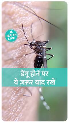 How To Save Yourself From Dengue!