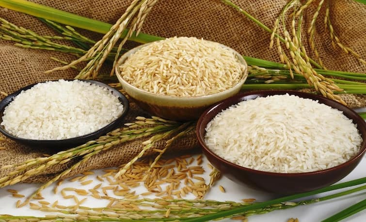 Rice : World is Facing Rice Crisis, Know Why India Banned Rice Export Rice : ટામેટાએ ભારતને રડાવ્યું પણ હવે ચોખા આખી દુનિયાને રડાવશે